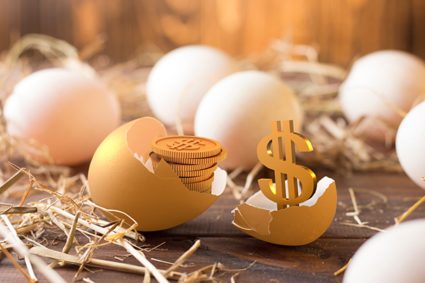 invest in gold egg , concept risk investment in trading asset